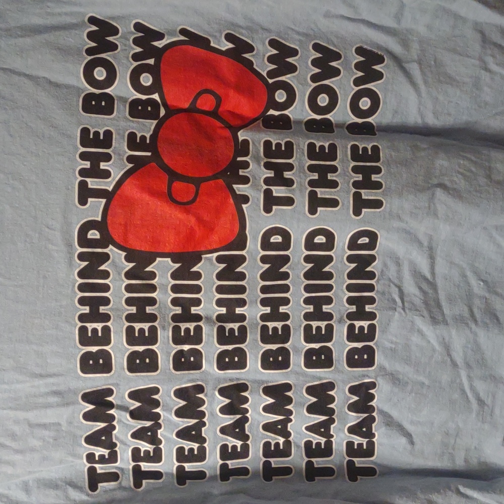 Hello Kitty Team behind the bow sz LG Port & company back hit graphic baby blue